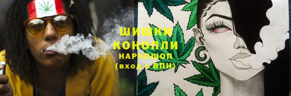 ешки Алзамай